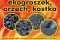 W�giel Orzech Ekogroszek Tychy Ekomia� Dostawa