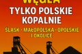 W�giel z polskich kopal� – groszek, orzech, kostka, mia� – luzem i workowany